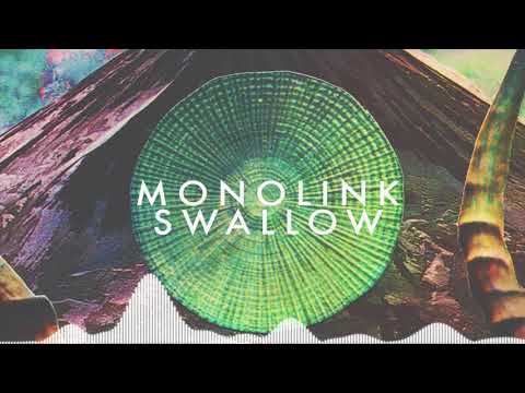 Monolink - Swallow (Original Mix)