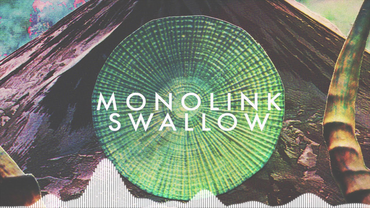 swallow tale of us remix monolink