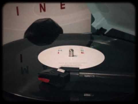 Alex Turner- Glass In the Park (vinyl)