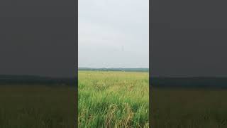 Download lagu suara belibis kembang pangil teruji, burung masih siang langsung datang manta, mp3 nya mp3