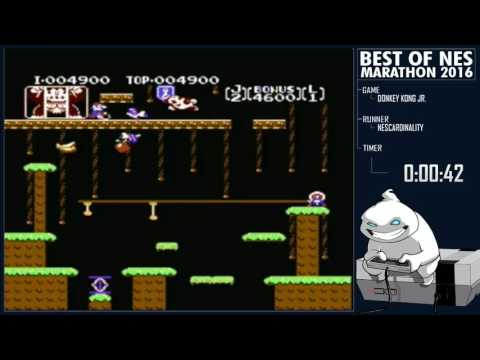 Best of NES 2016 - Donkey Kong Jr by NESCardinality