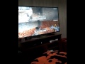 Minecraft Video Challenge Mine The Whole World