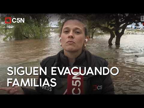 IMPACTANTES IMÁGENES de COLÓN BAJO el AGUA | MÓVIL de C5N en VIVO