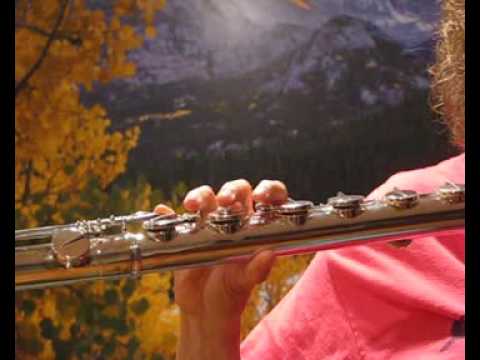 Di Zhao Bass Flute Upper Register-Free Shipping w/ All Phone Orders!