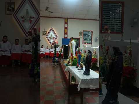 Primeras Comuniones 2025 Parroquia San Antonio de Padua 