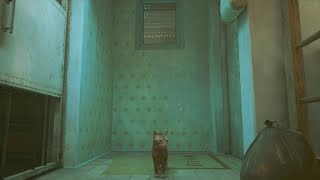 Stray初見実況05