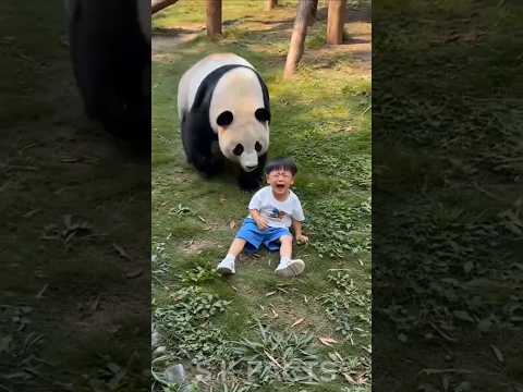 अरे मेरा बच्चा तो नीचे गिर गया 🤩😍