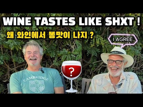 Portuguese Wine | Masters of Wine review wines from a mysterious importer