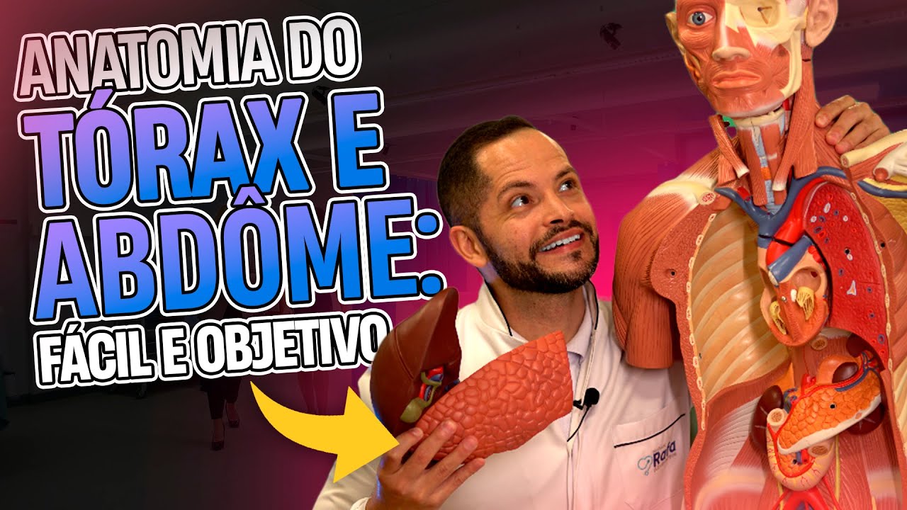 Corpo Humano: Anatomia do Tórax e Abdôme