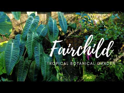 Fairchild Tropical Botanical Garden Tour