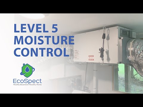 EcoSpect Moisture Control and Basement Dehumidification