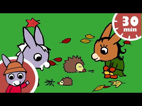 🤓 Trotro rencontre un hérisson ! 🦔