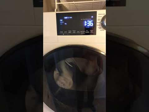 General Electric - Defective Dryer