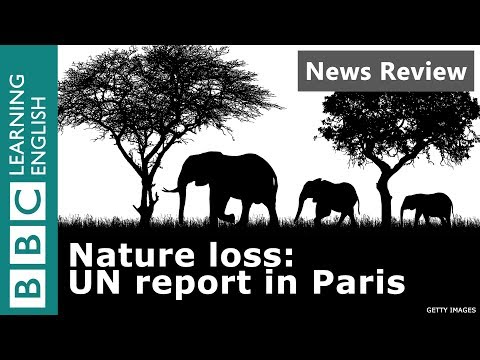 自然の喪失：パリで国連報告書 - BBCニュースレビュー (Nature Loss: UN Report in Paris - BBC News Review)