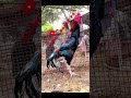 Anbu Naa Anbu Vambu Naa Vambu