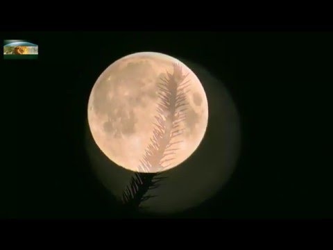 Moonstruck? Beautiful full moon - Mondsüchtig? Wunderschöner Vollmond