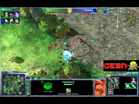 Starcraft 2 - sYz [Z] vs. KnowMe [P] - Tal'Darim Altar