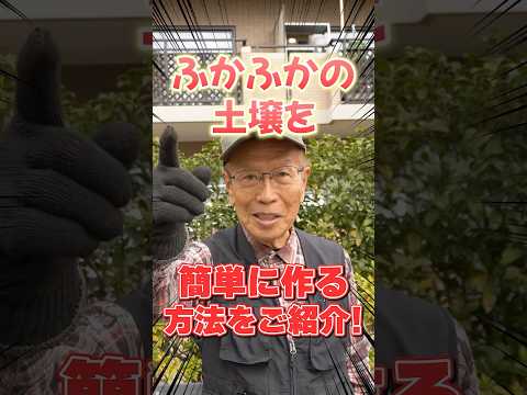 庭の土壌を活性化する理由と方法: 肥沃度を回復するための簡単なステップ  庭園