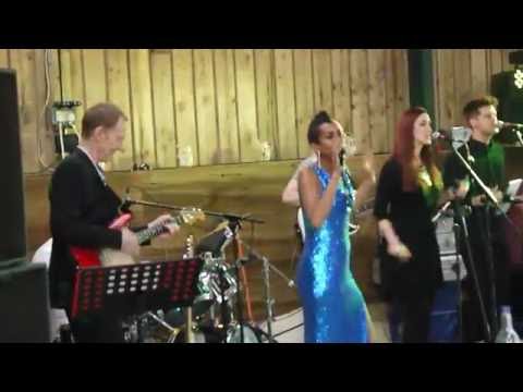 Bespoke Alison David feat. Housejammerz - Higher and Higher  @ Aaron and Kelly's Wedding