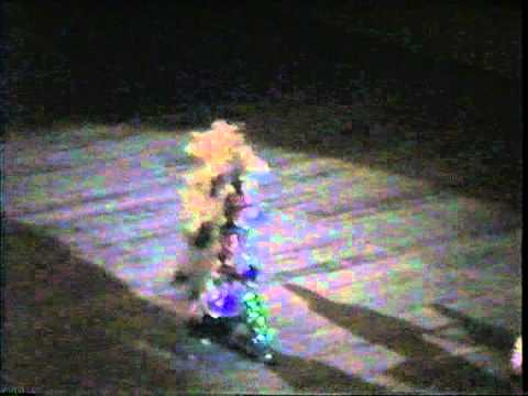 1996 Show of Shows Durning String Band Main Floor