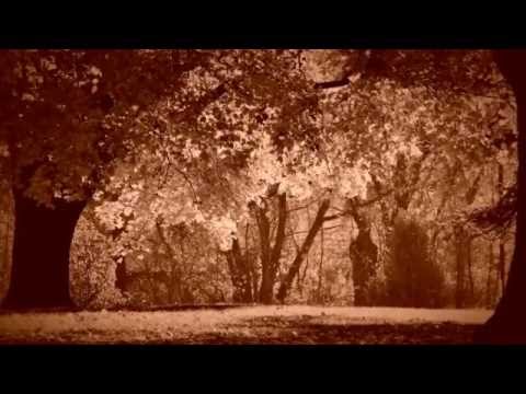 Лидия Клемент - Падают листья
