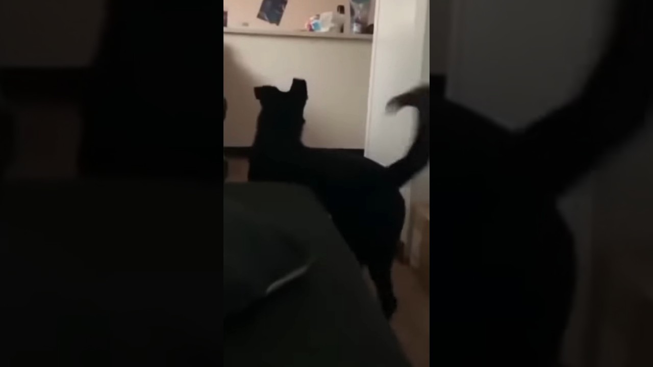 bora maninho 🤝🏼