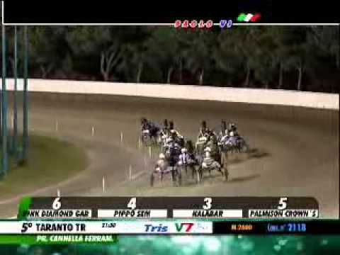 27/07/2014, Taranto , Premio Cannella Ferram. Tris Str.