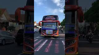 Download lagu Telolet Basuri‼️jomblo happy bris trans tuan muda.!! mp3