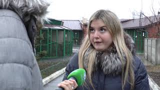 Жінка 5 років утримувала в квартирі собак та не вигулювала їх