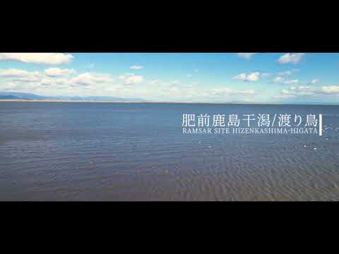 渡り鳥 - WATARIDORI -｜肥前鹿島干潟（30秒ver）