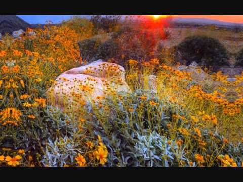 Vadim Shantor   Mir pohozhij na mir