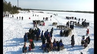 День оленевода, 18 марта 2017 г.