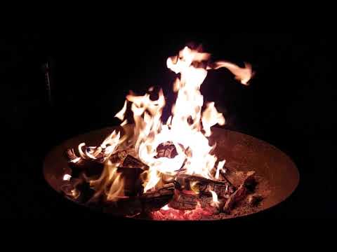 Best of Cody Francis - Essential Tracks | Koniz