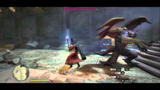 『プレイ動画』　ドラゴンズドグマ　番外編　【悪魔】