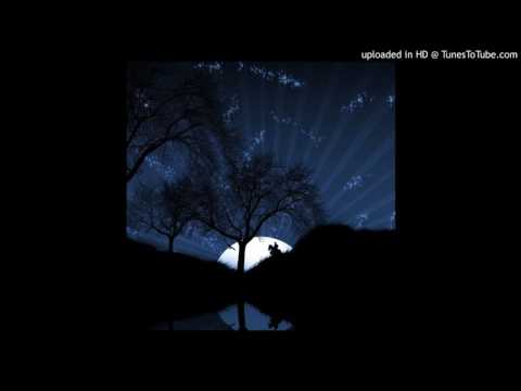 Ago Niglas - Slo Mo Tribe