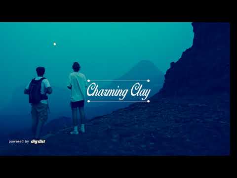 Mike Tohr - The Last Zebra | Charming Clay