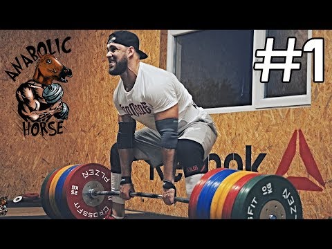 Anabolic Horse - Strength Wars prep #1