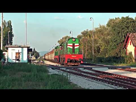 Večerné čmeliaky v Chynoranoch