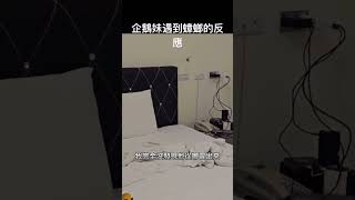 [問卦] 幹你娘蟑螂會飛怎麼辦