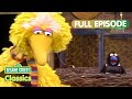 Zero The Penguin Comes To Visit Sesame Street Classics Full Episode