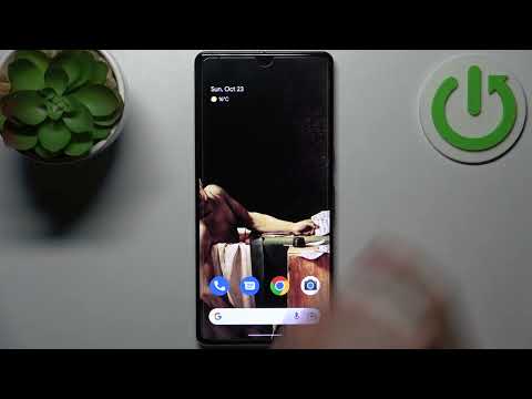 How to Manage Camera Location Tags in GOOGLE Pixel 7 Pro