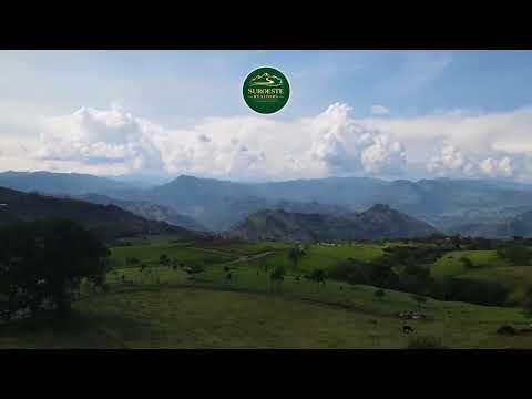 VENTA DE LOTE EN TARSO, SUROESTE DE ANTIOQUIA. 