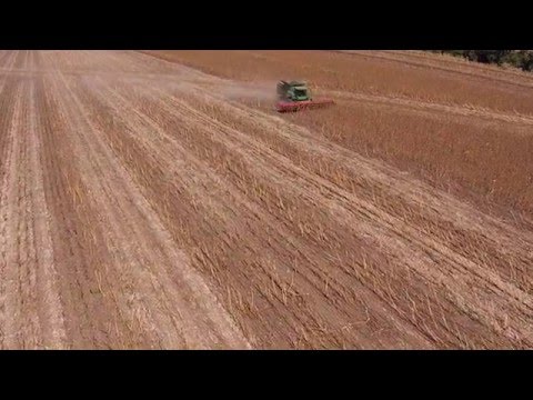 DOMINONI FREE SUN - JOHN DEERE S660 - Girasole (3)