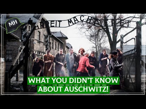 You NEED to know THIS about the women in the Nazi concentration camp!