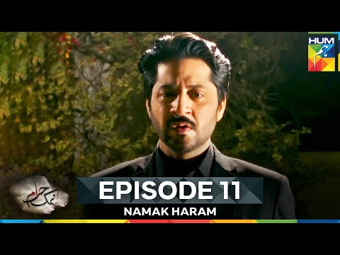 Namak Haram Episode 11