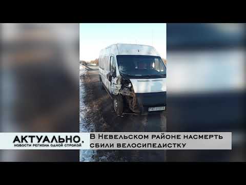 Актуально Великие Луки / 11.12.2020