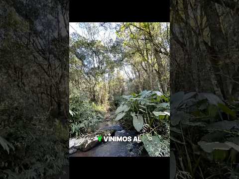 82/365✅ Sabías que también tenemos chacras?