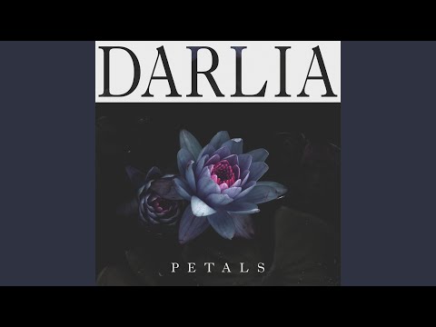 Stars Are Aligned - Darlia