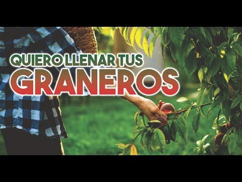Quiero llenar Tus graneros - Jaime Ospino - Cover