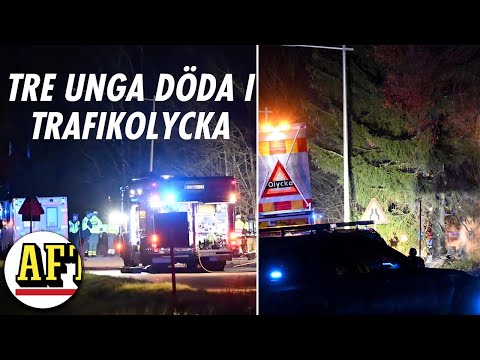 Tre unga döda i trafikolycka utanför Borås – bil började brinna